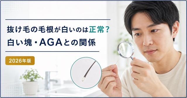 抜け毛の毛根が白いのは正常？白い塊・AGAとの関係【2026年版】