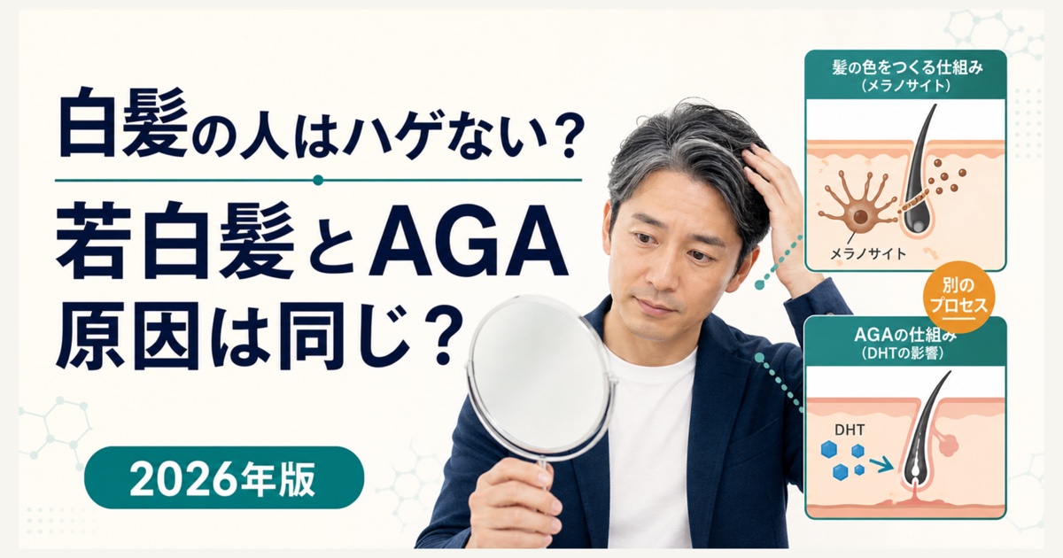 白髪・若白髪とAGA・薄毛の関係