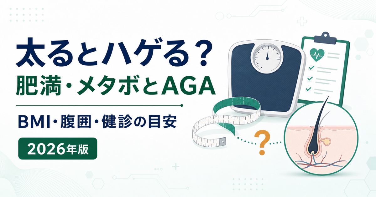 肥満・メタボリックシンドロームとAGAの関係