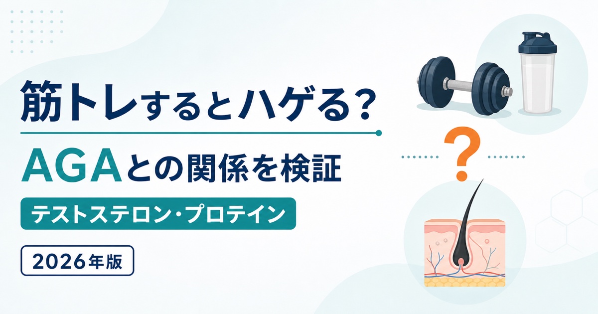 筋トレとAGA・テストステロン・プロテインの関係