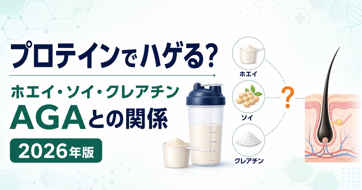 プロテイン・クレアチンとAGAの関係