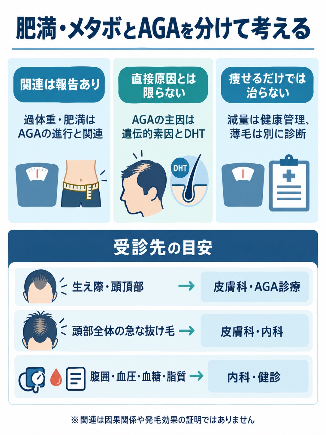 肥満・メタボとAGAの関連、直接原因ではない点、薄毛と健診の受診先を整理した図解