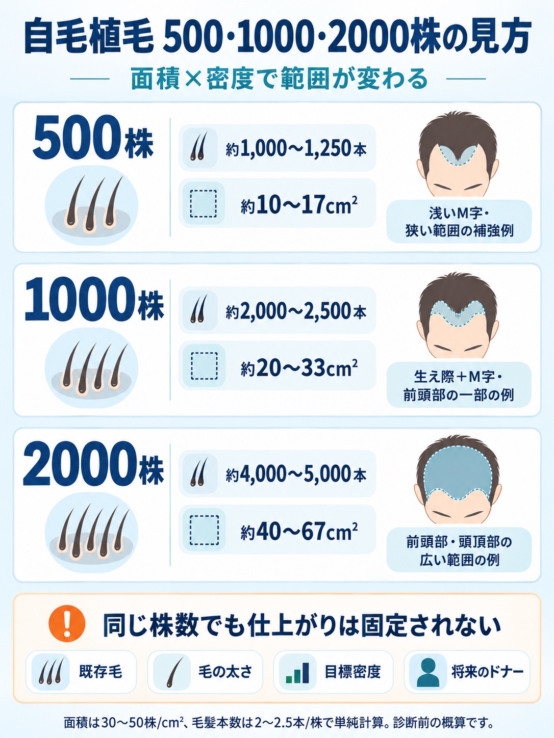 自毛植毛500株・1000株・2000株の毛髪本数・面積・想定範囲を比較する図解